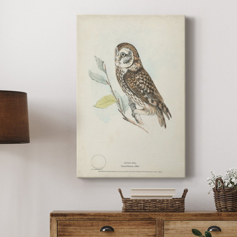 Petite chouette - impression sur toile tendue, H 36 po x l 24 po x P 1 po