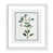 White Framed