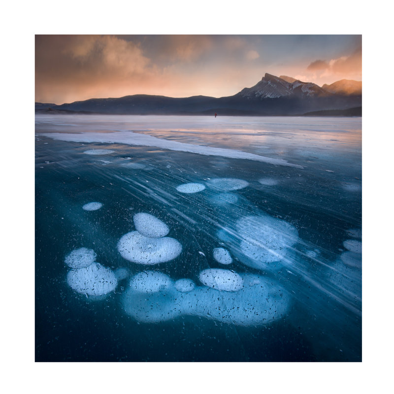 Art sur toile «Bubens In The Lake», H 14 po x l 14 po