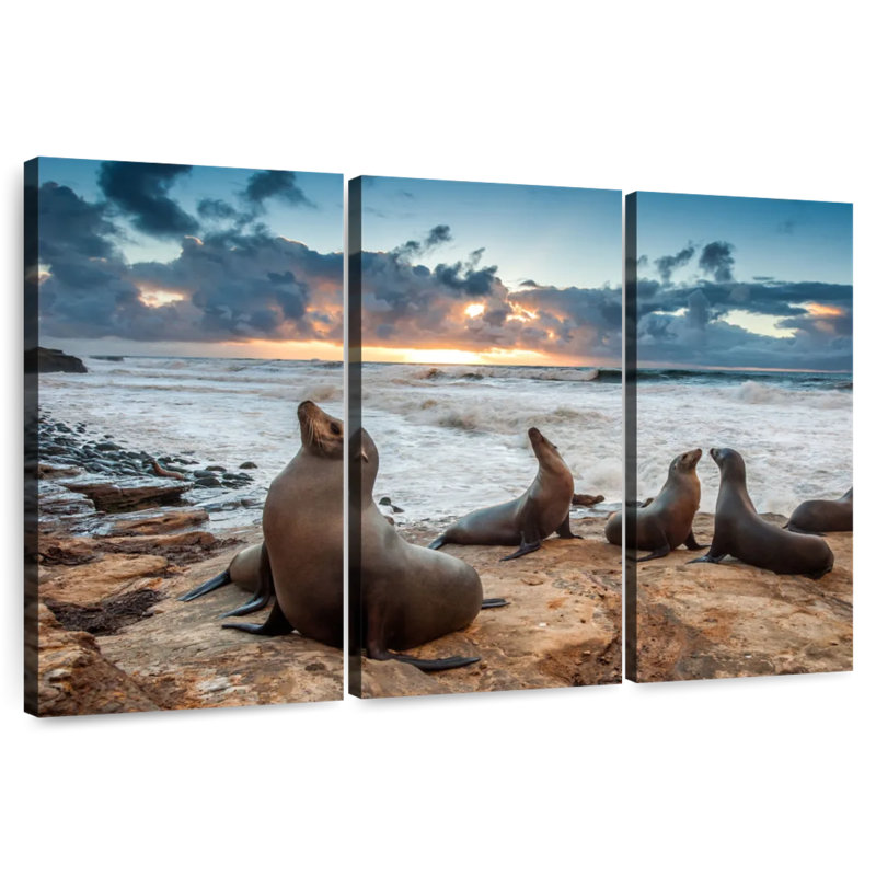 Brampt La Jolla Sea Lions, 42" H x 65" W
