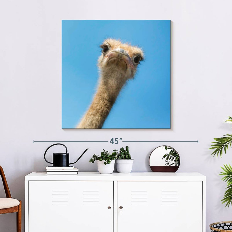 Crowle Curious Ostrich, 30" H x 30" W