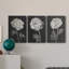«Black and White Flowers I», ensemble de 3 impressions sur toile tendue-998823864