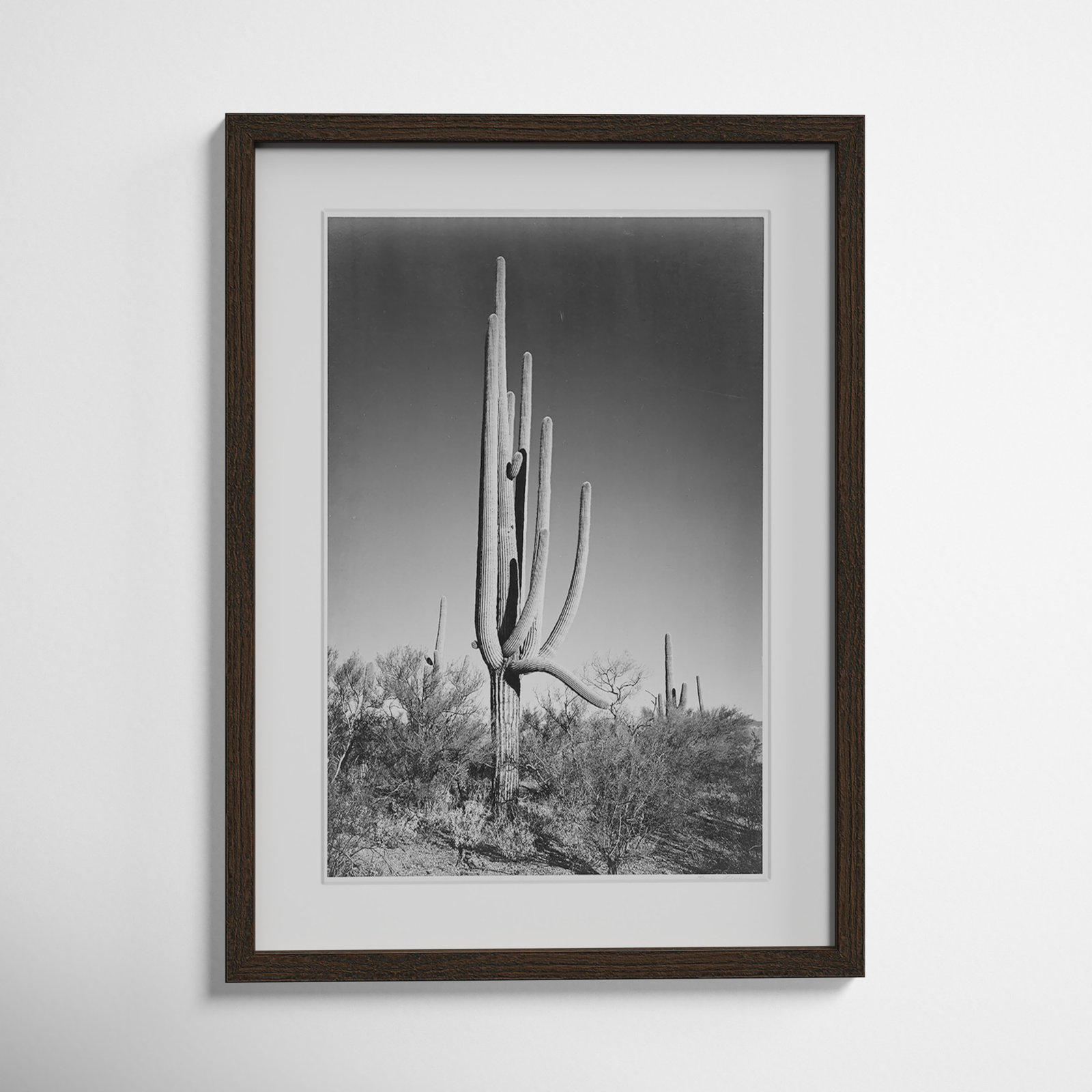 Saguaro National Monument Print by Ansel Adams, 23" H x 17" W x 0.75" D, Walnut