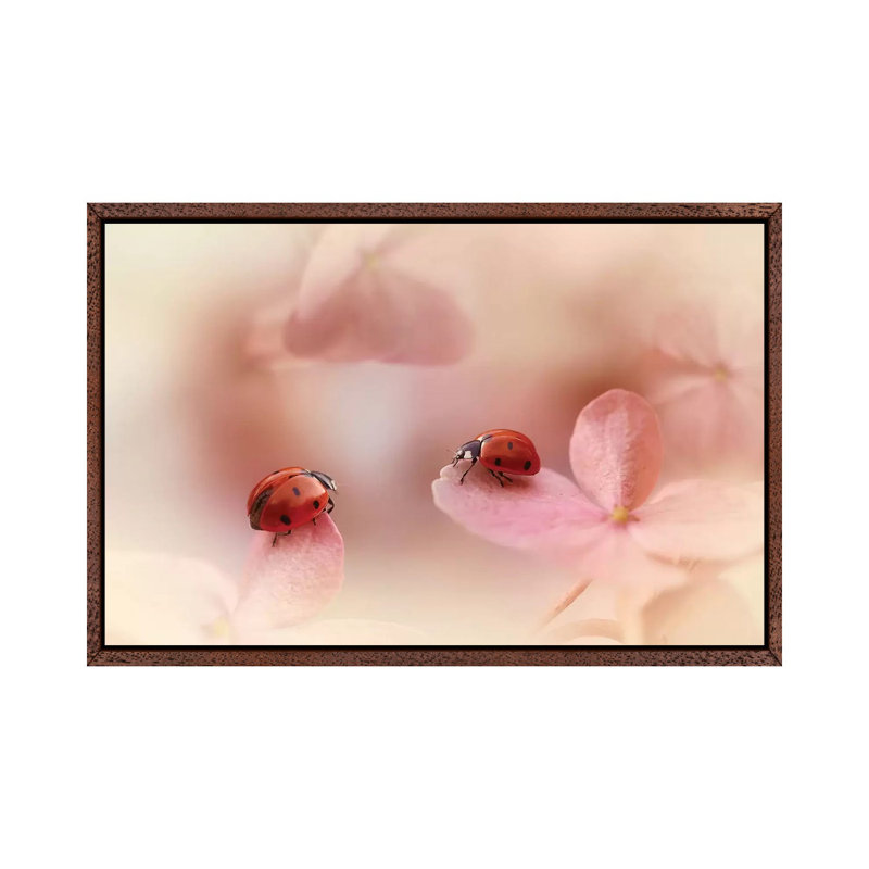 Ladybugs On Pink Hydrangea by Ellen Van Deelen - Print on Canvas, Classic Brown Wood Floater Framed