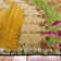 Vogue Hand Knotted Wool Area Rug