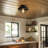 1-Light Outdoor Flush Mount Ceiling Light, Matte Black, Metal Cage Shade, Weather Resistant, Indoor