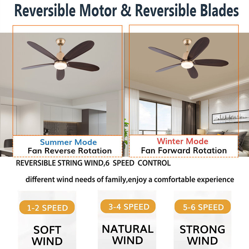 Mahawa 52" Ceiling Fan with LED Lights, Gold