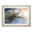 Mystical Polar Bear in Abstract - Framed Print-55727419-55727421