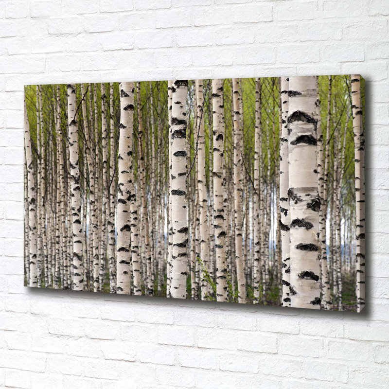 Birch Forest - Wrapped Canvas Print