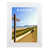 White Wood Frame