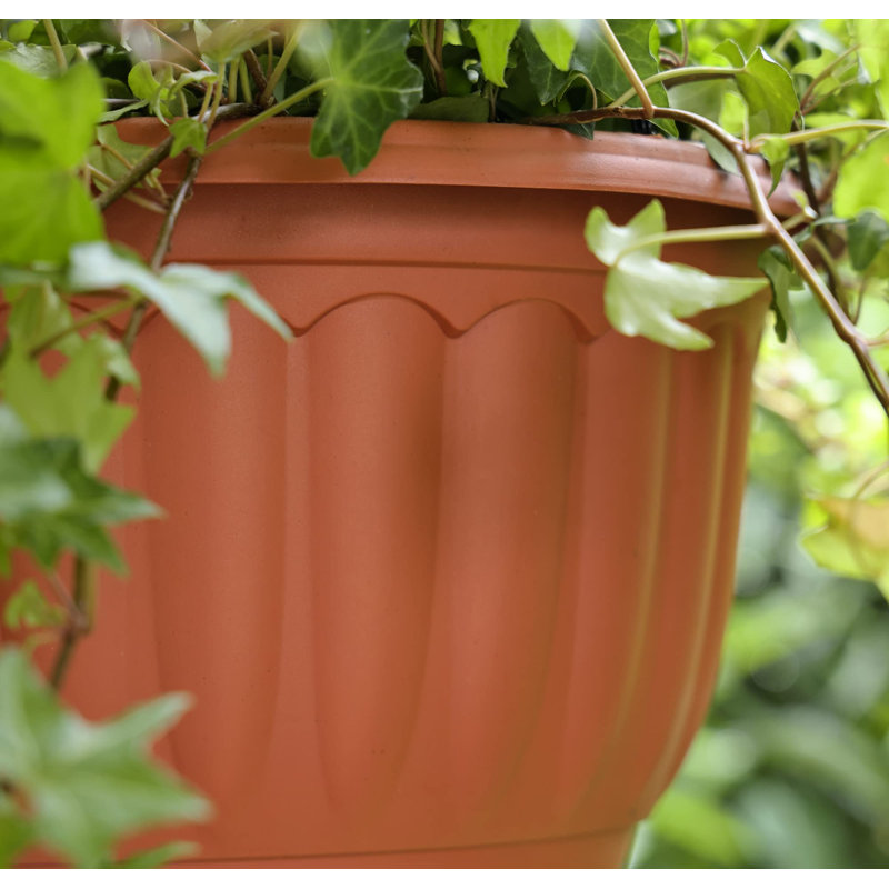 Jardinière suspendue pour plantes d'intérieur et d'extérieur, paquet de 2, pot de fleurs en plastique de 12 pouces avec trou de drainage et plateau absorbant (terre cuite)