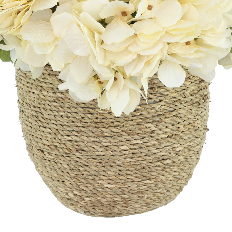 Arrangement floral d'automne hortensia, Crème, crème