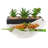Orren Ellis Lorinda Porcelain Platter-1213823963