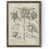 Toile avec encadrement moka
