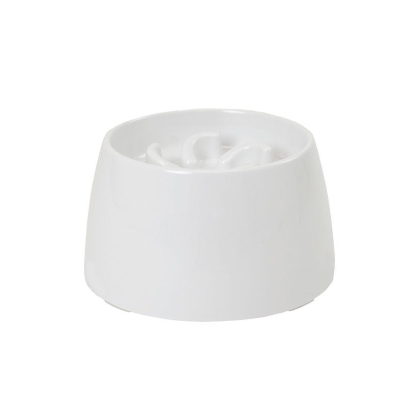 Raised Slow Feeder Bowl