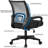 Ergonomic Mesh Task Chair with Adjustable Lumbar Support-2070788748