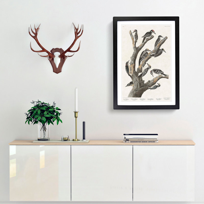 Woodpeckers by John James Audubon - Picture Frame Painting Print, Black Framed, 36cm H x 27cm W x 2cm D