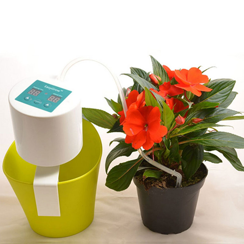 Water Timer