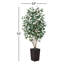 Ficus artificiel avec base décorative Almont et protection contre les rayons UV Almont-1914722526-1914722520
