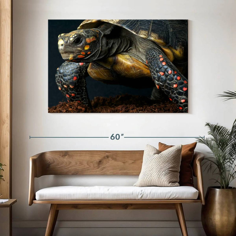 Tortue à pieds rouges, H 32 po x l 48 po