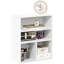 Silliman Bookcase-1855135540