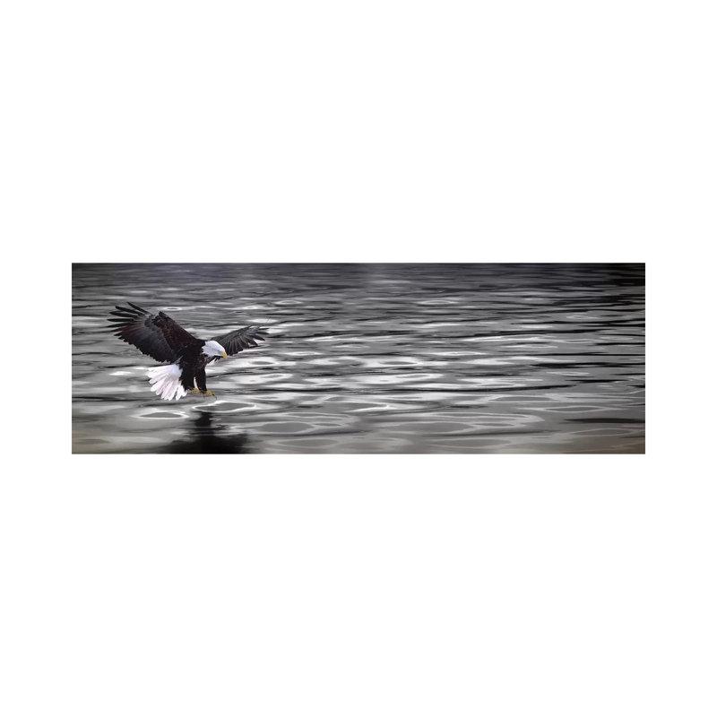 Eagle Over Water - Wrapped Canvas Panoramic Print, 30.48 cm H x 91.44 cm W x 1.91 cm D