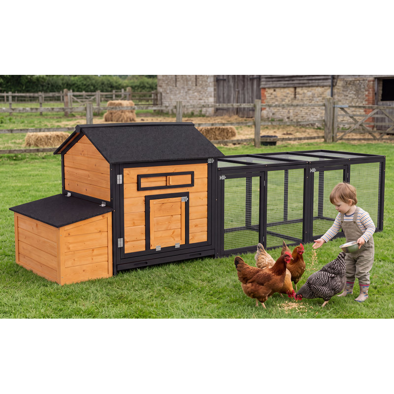 Chicken Coop