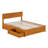 Lamecia Platform Bed with Panel Footboard and Storage Drawers-1845808016-1845808017