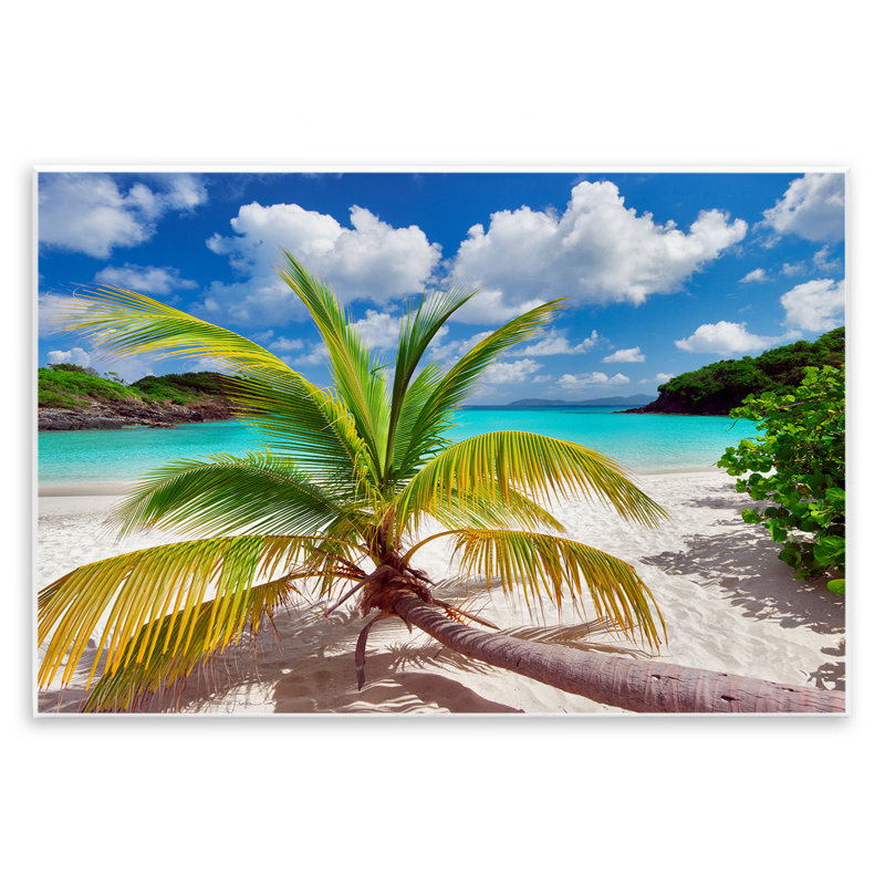 «Palm Tree Across Beach», art mural par Dennis Frates, H 10 po x l 15 po