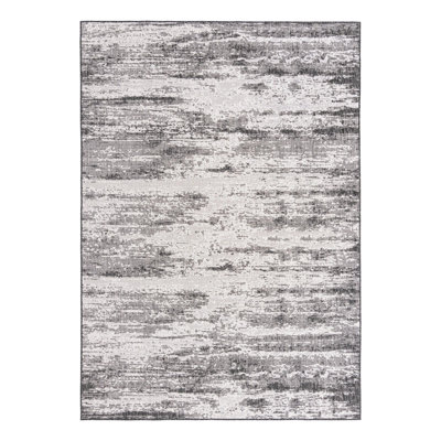 Noushin Charcoal Cartago Indoor/Outdoor Modern Rug