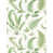 Fern