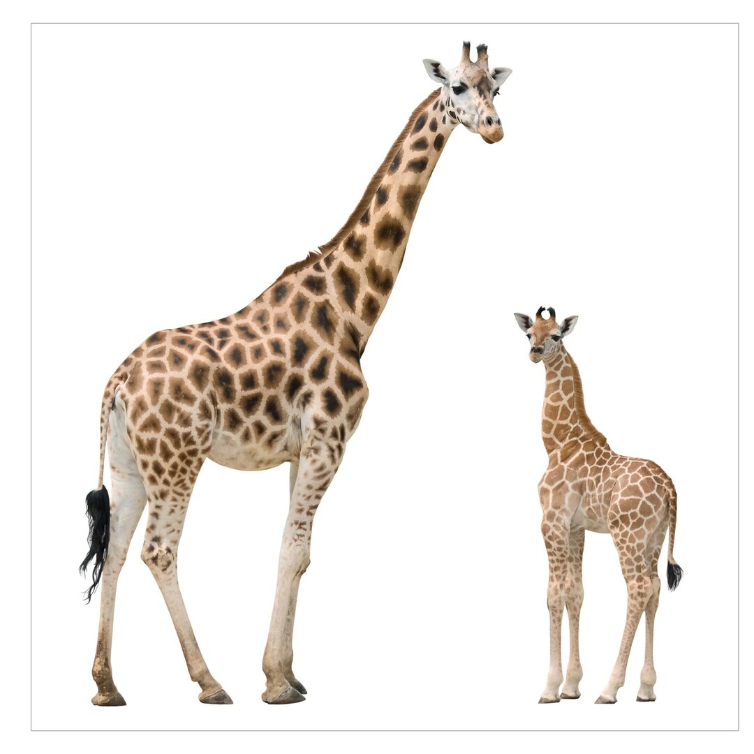 Seidenmatte Tapete Giraffe Mother and Child