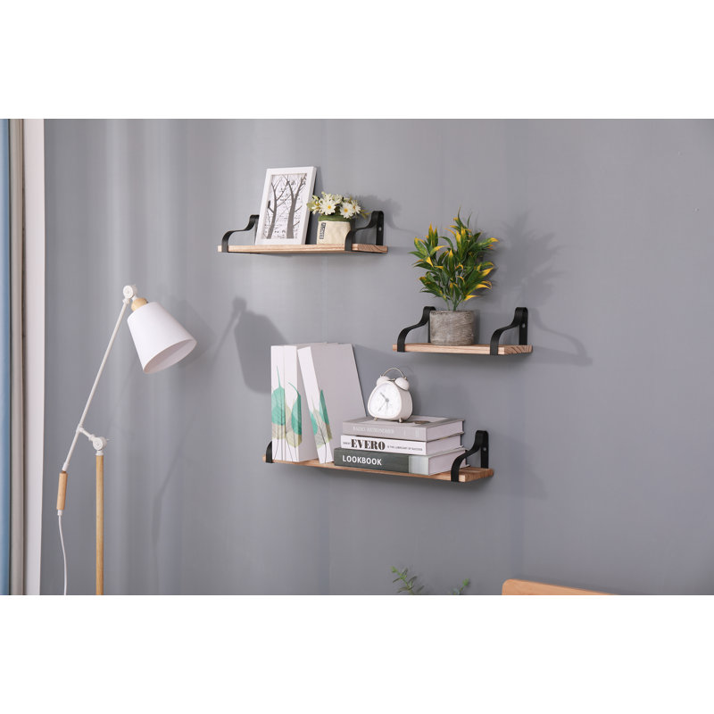 Turbotville 3 Piece Solid Wood Floating Shelf