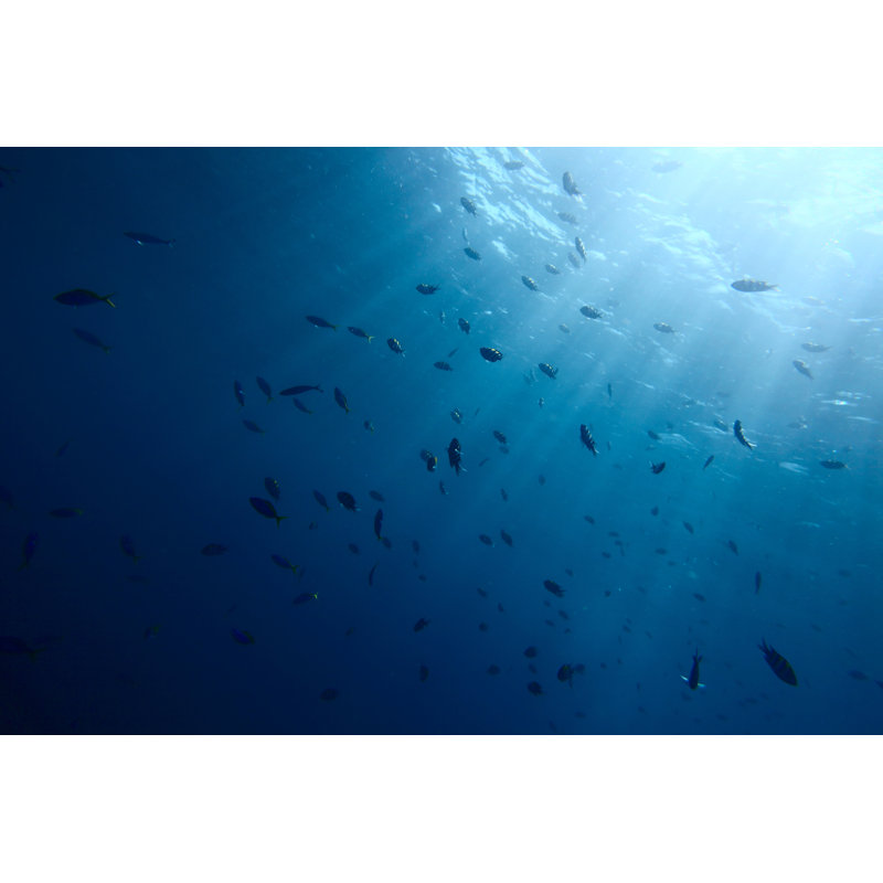 Sea - Wrapped Canvas Print, 30cm H x 46cm W x 3.8cm D