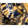 Angeliya Oriental Indoor Rug
