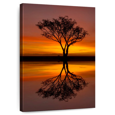 Harnek Acacia Tree Sunset Silhouette