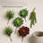Artificial Succulent