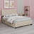 Upholstered Platform Bed With 2 Drawers And Trundle-1579962091