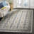 Christa Gray Area Rug-497819053