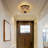 Dimmable Circle Ceiling Light