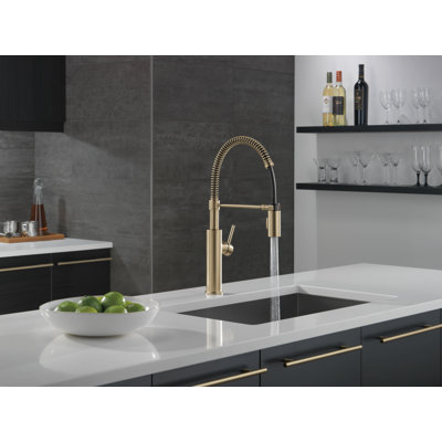 Robinet de cuisine professionnel avec douchette rétractable Antoni Pro Style
