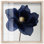 «Night Dal III Shadowbox», impression d'art floral bleu par Art Remedy