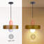 Bierstadt 2 - Light Crystal Pendant-1946185352