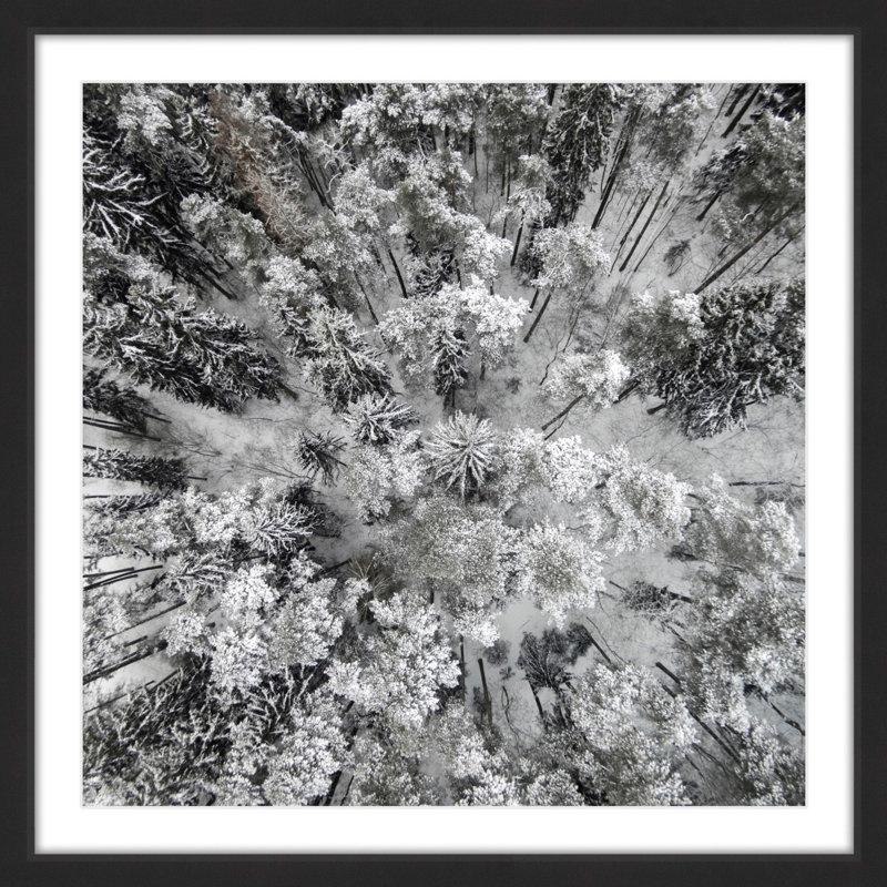 « haut et froid », reproduction de photo encadrée, H 24 po x l 24 po