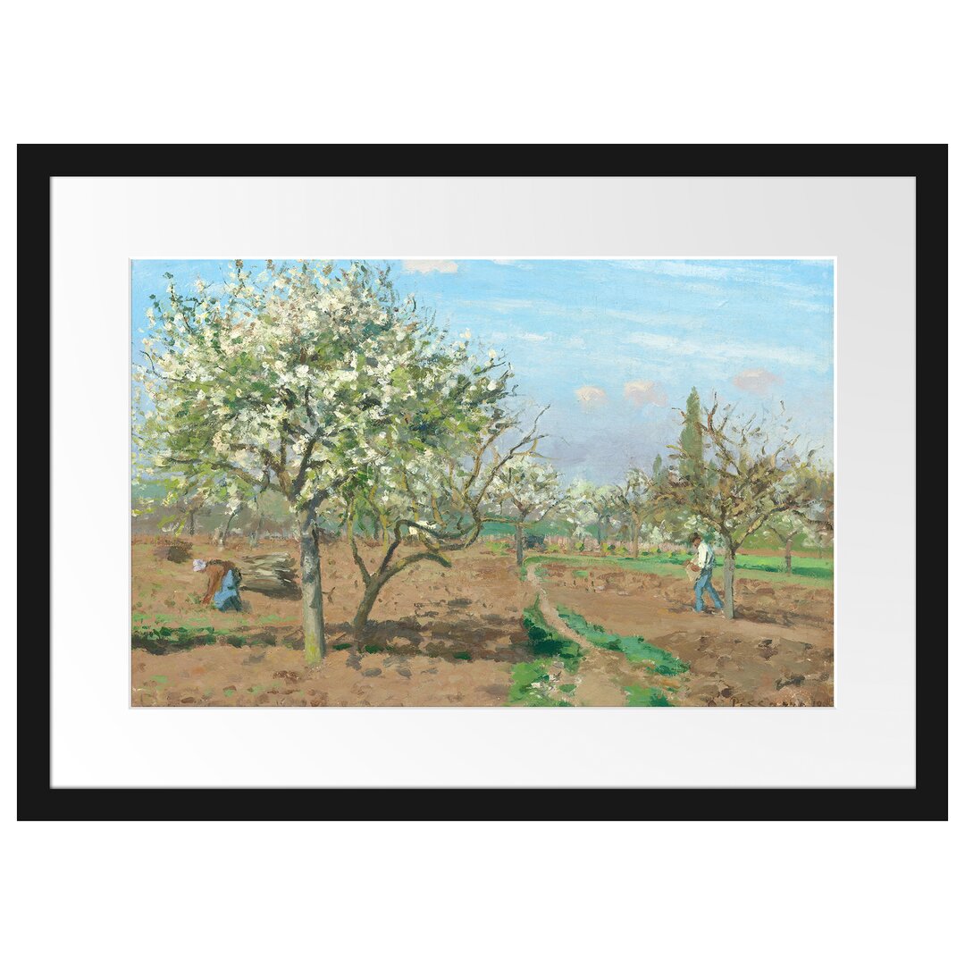 Gerahmter Kunstdruck Orchard in Blossom Louveciennes von Camille Pissarro