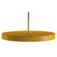 Ivan Single Light Metal Dimmable LED Pendant