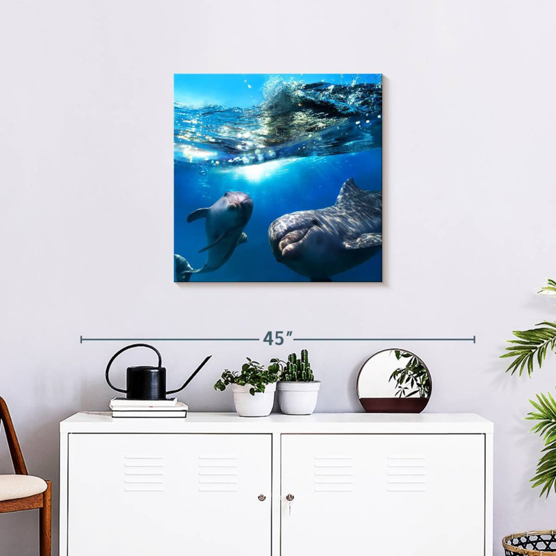 Brampt Playful Dolphins, 24" H x 24" W