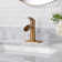 Single Hole Bathroom Faucet with Drain Assembly