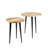 Entiat Solid Wood End Table Set