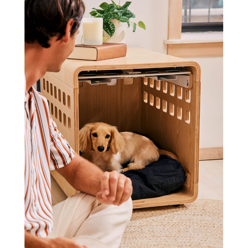 Pet Crate with 1 Door, Small (23" H x 20" W x 26" D), Signature Ash